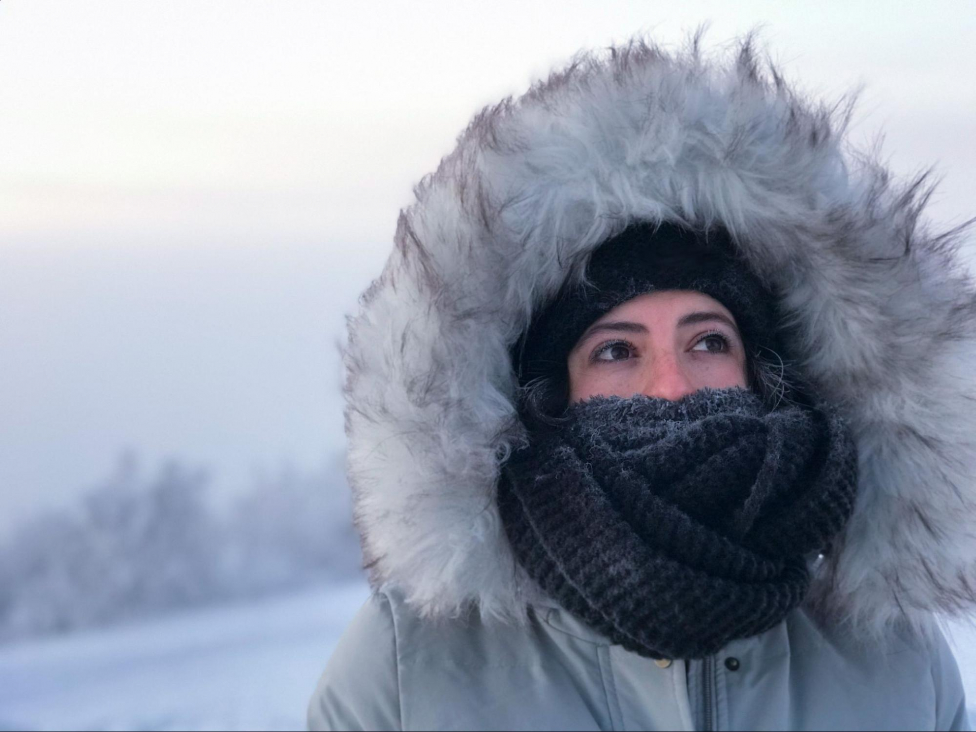 Холодная погода. Источник: elements.envato.com