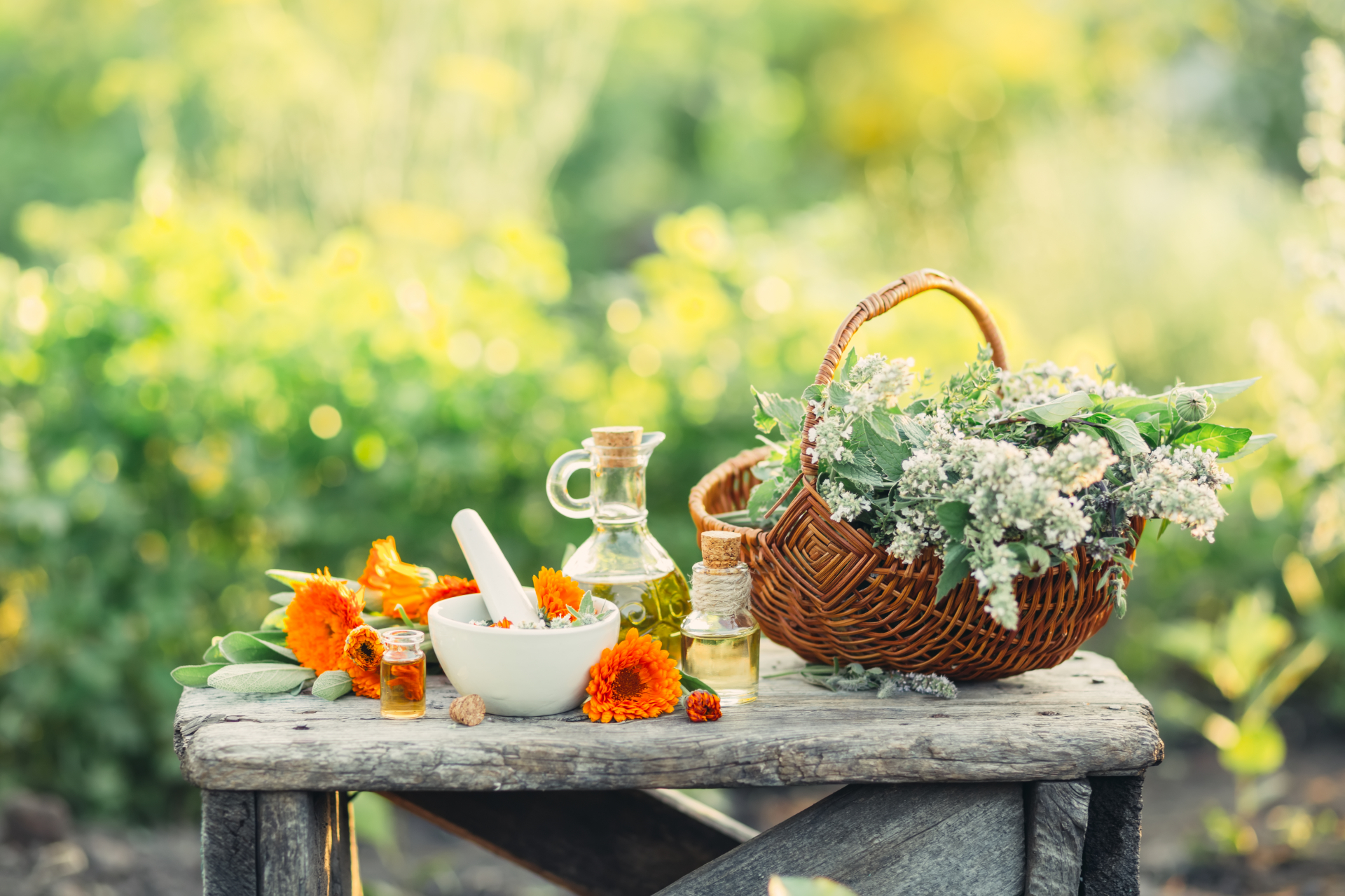 Vell. Envato